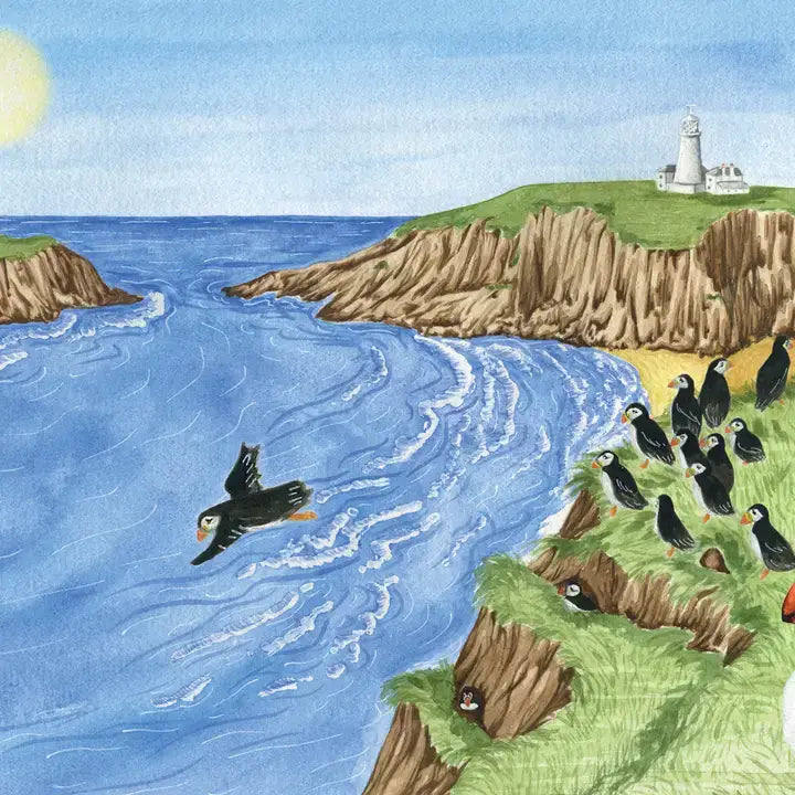 Marli's Twisted Tale Children's Illustrated Story Book - Cornish Gifts by Sandy Shores