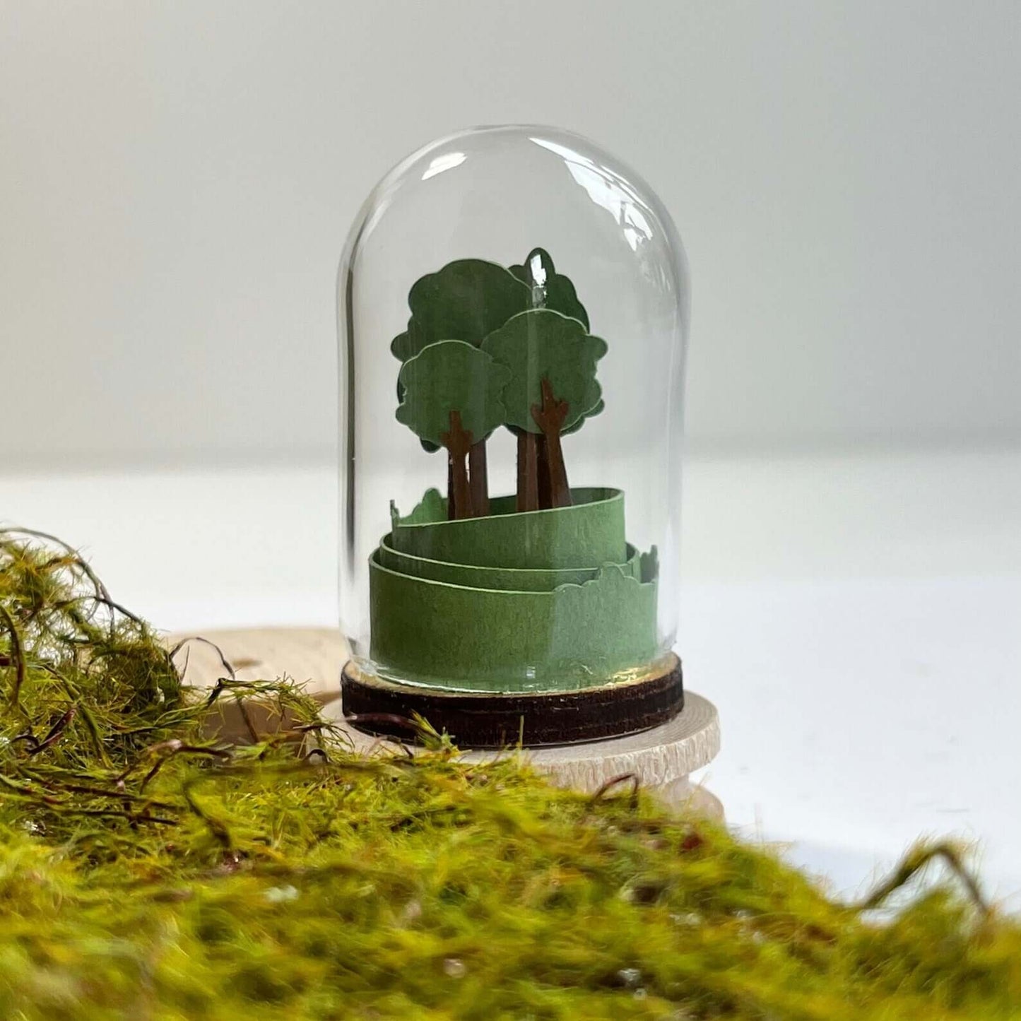 Nearly Home Trees Paper Sculpture in a Glass Dome - Handmade in Cornwall - Cornish Gifts by Sandy Shores