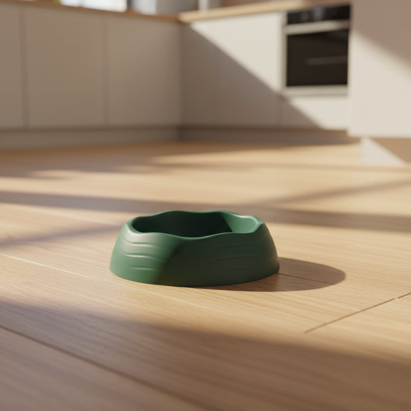 Green pet bowl on a white background
