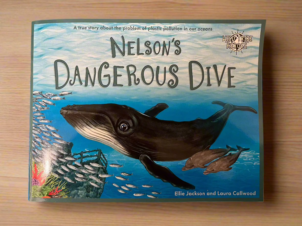 Nelsons Deep Dive Children's Illustrated Story Book - Cornish Gifts by Sandy Shores
